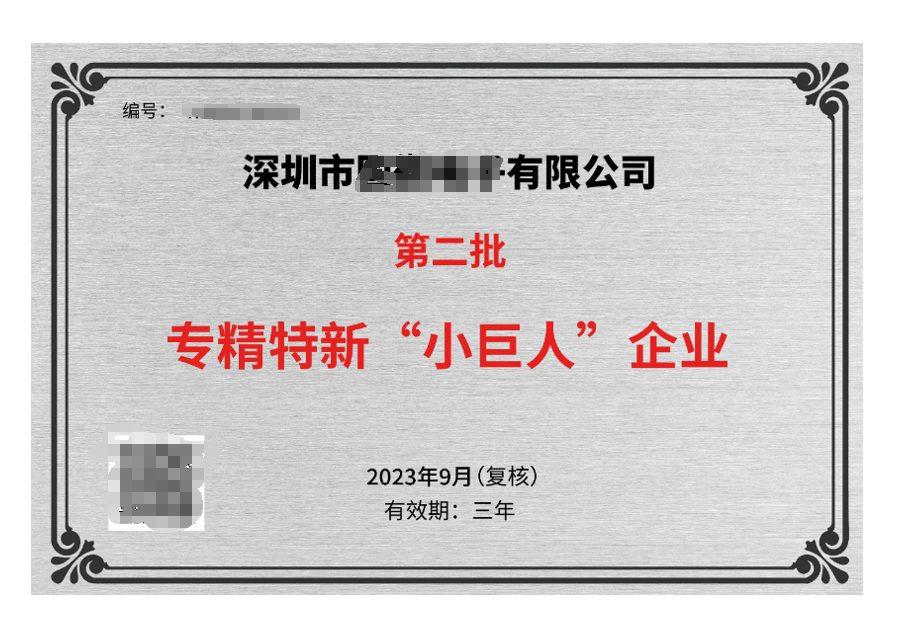 小巨人企業的認定